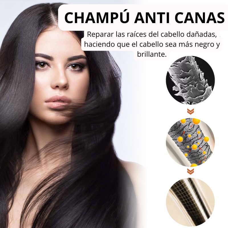 NaturalBeauty Shampoo/Gray Hair Dye 100ml Black/Brown